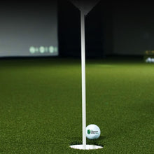 TIGS Money Putt Golf Turf