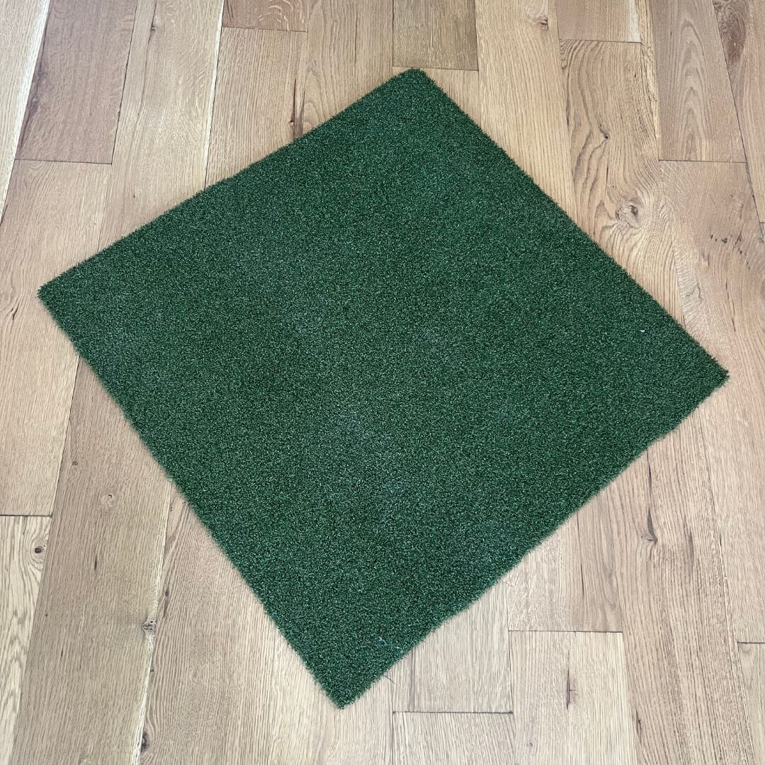 TIGS Money Putt Golf Turf